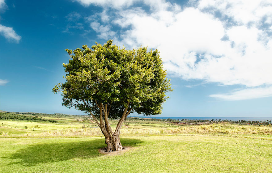 博天堂(918.com)官网-918博天堂,让你更杰出